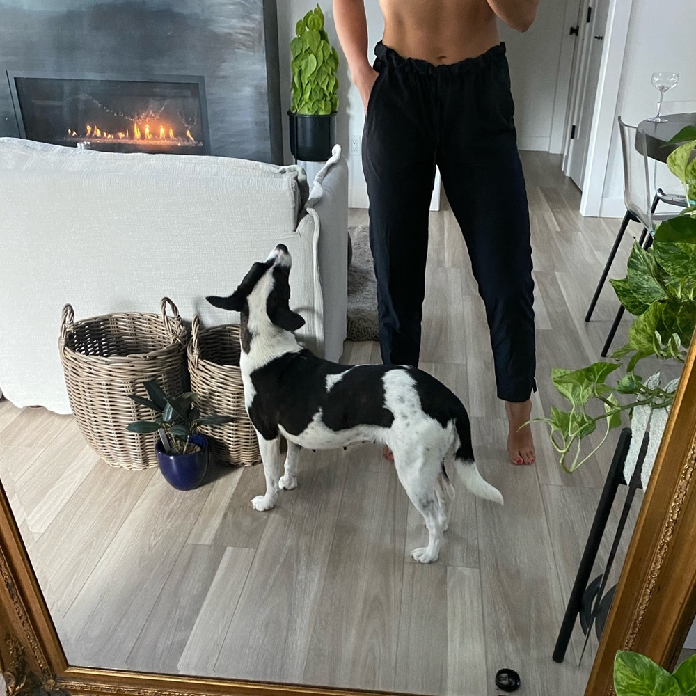 Zella / XS / Black jogger pant / elastic waist